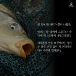  [카드뉴스] 우리가 몰랐던 실내낚시터 물고기의 삶 