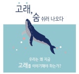  숨 쉬러 나온 고래를 만나볼래요? 