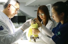  야생동물에게 위험한 서울…“이제 재활훈련까지 가능” 