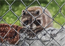  어린이대공원, 밀수로 죽어가는 사막여우 등 그림 전시  