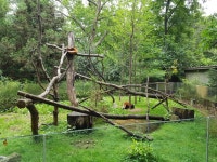  전문성 없는 국내 동물원 설계…‘주토피아’는 먼나라 이야기 