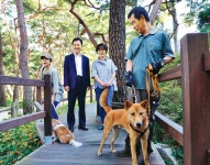  개와 인간의 공존, 솔밭공원 산책로 