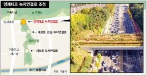  양재천~구룡산 3.5㎞ 녹지 연결 