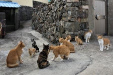  [ESC] 몸 감싸는 편백나무 향…나를 위로하는 손짓 