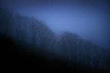  [탁기형의 생각 있는 풍경] 겨울이 오는 새벽 