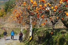  [렌즈세상] 가을 산길 / 김남기 