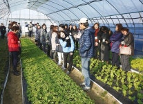  노원구 급식판에 오른 홍성 무농약 사과 