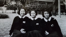  임순례를 만든 시간들 