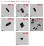  석포제련소 주변에서 비소 먹는 신종 미생물 발견 