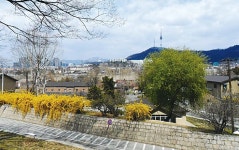  용산기지 내 둔지미 마을을 기억하자 
