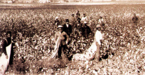  ‘노예 12년’ 주인공 솔로몬 노섭, 자유 되찾은 날 