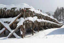  [ESC] ‘올림픽의 겨울’에 만날 이 풍경 