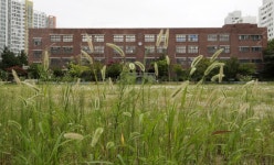  경기도 초등학교 6곳 올해 입학식도 못해 