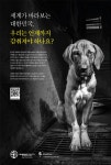  “개들도 함께하는 평화올림픽 만들어주세요” 