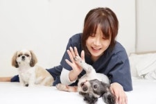  멍냥이 명절증후군, 미리 대비하세요 