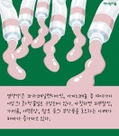  [카드뉴스] 알록달록 염색한 개, 기분도 밝을까요? 