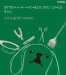  [카드뉴스] 알록달록 염색한 개, 기분도 밝을까요? 