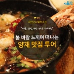  [카드뉴스]봄바람 느끼며 떠나는 양재 맛집 나들이 