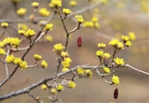  [ESC] “왜 괴롭히느냐” 호통…바위가 쩍 갈라졌다 