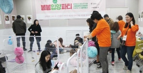  유기동물 13마리 새 가족 찾은 ‘입양 파티’ 