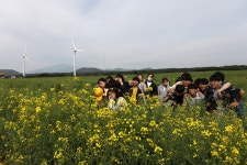   우리 동네 ‘가시리’를 소개합니다 