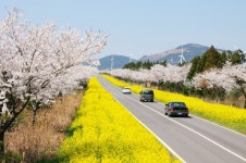   우리 동네 ‘가시리’를 소개합니다 