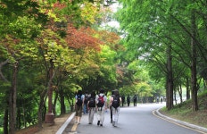  표심 노린 개발 공약에 불안한 보문산 