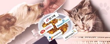  맨날 같은 사료? ‘홍삼밥 주세요’ 멍! 