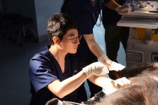  [영상] 인공수정으로 지리산 반달곰 태어났다 