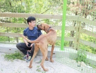  동물보호소에선 친구가 필요해  