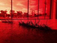  을숙도의 초록빛 미술관, 관객이 넘치네 