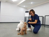  “동물도 정신 건강이 중요해요” 