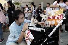  초복 앞둔 서울 도심 “개도살 금지법 제정하라” 목소리 