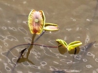  전주 덕진공원의 40년 사진 기록 