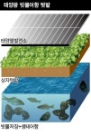  녹색드림협동조합, 태양에서 에너지의 미래를 찾는다 