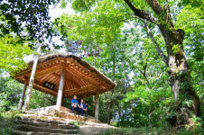  [ESC] 숲에서 찬란한 평화를 만나다  