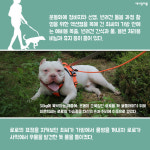 [카드뉴스] 당신이 궁금해 할 ‘펫시터’의 모든 것 