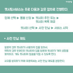  [카드뉴스] 당신이 궁금해 할 ‘펫시터’의 모든 것 