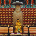  개화산 키 작은 꽃들과 노을을 보다 