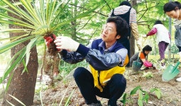  가을 햇살 찬란한 서울숲공원에서 뒹굴다 