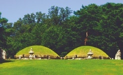  푸른 숨 쉬고 싶은 사람, 왕릉으로 모이세요 