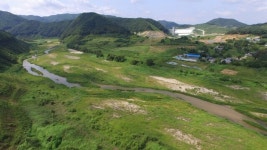 [영상] 내성천에 3만마리 제비떼가 나타났다