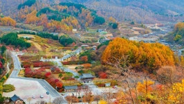  무르익은 늦가을, 장수에서 미리 만나요 