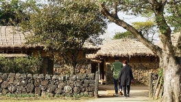  늦가을 제주 대정고을서 추사를 만나다 