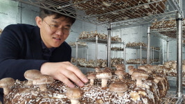  ‘골칫거리 빈집’ 도시농장·청년주택으로 탈바꿈 