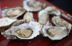 [ESC] 참숯에 잘 구운 부챗살같은 맛, 고흥 옥금마을 굴 이야기