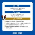  경기도, 동물학대 엄단 위해 ‘집중 수사체제’ 