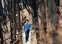  초심자도 거뜬한 ‘산책길 150’…서울시 고산자의 고행길 