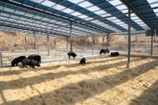  생명 다루는 새 직장…똥 치울 시간도 부족하다 