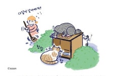  슬기로운 집사생활을 위한 ‘고양이 백과사전’ 